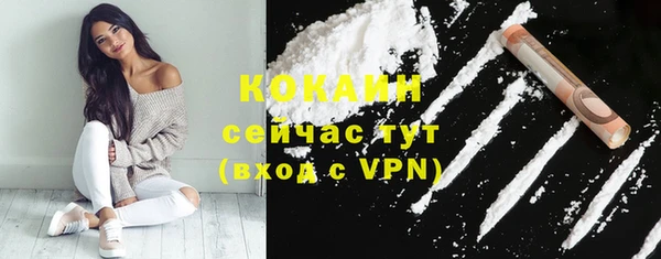 молекула духа Белокуриха