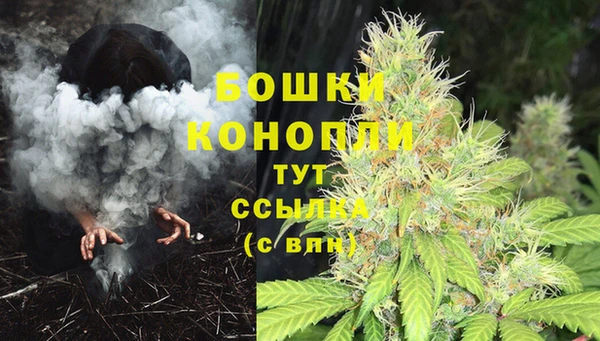 молекула духа Белокуриха