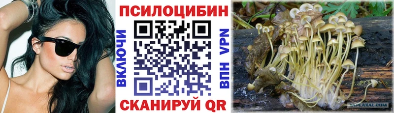 Псилоцибиновые грибы прущие грибы  Крымск 